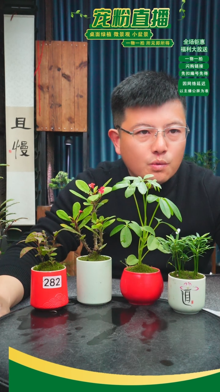 无花朵永**愛苔藓微景观282号