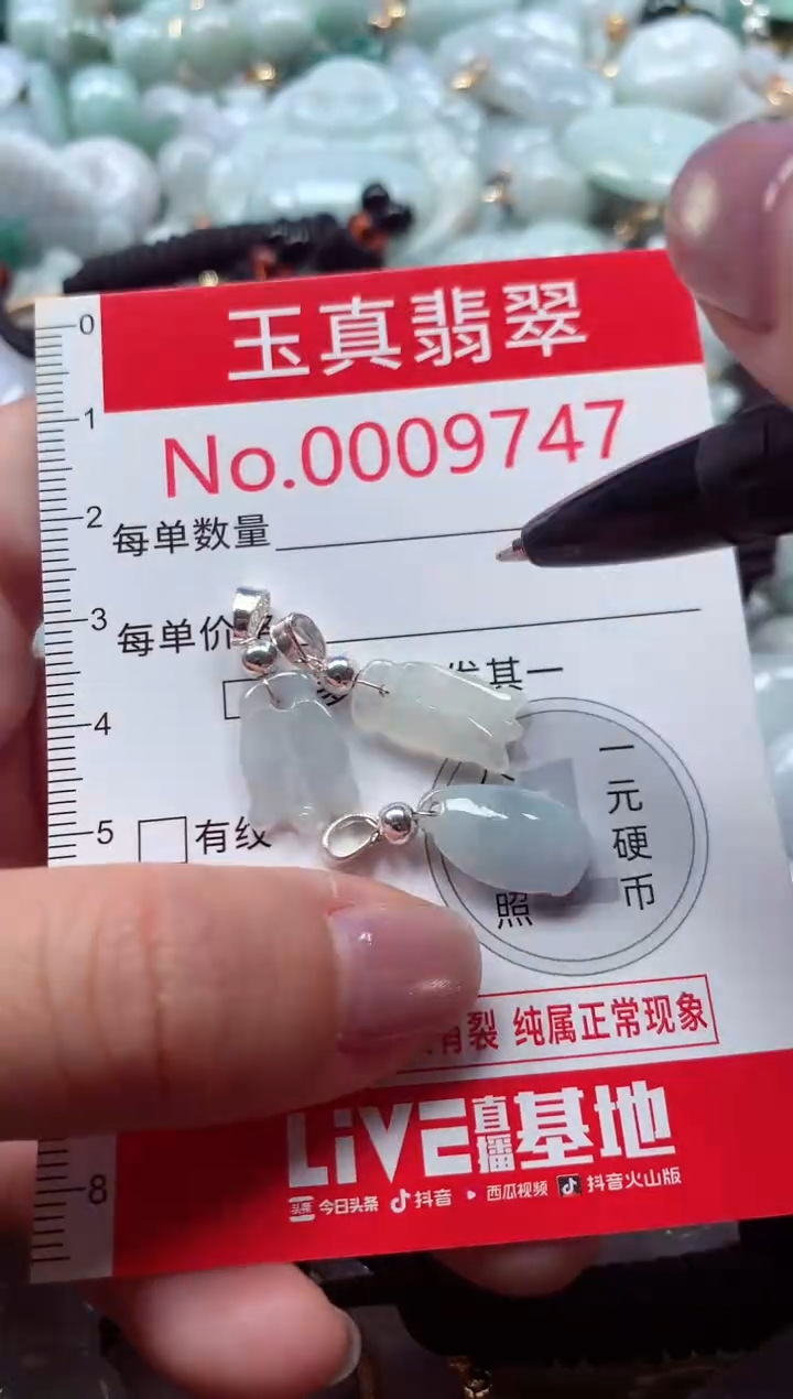 吊坠(不含链)未镶嵌翡翠9747