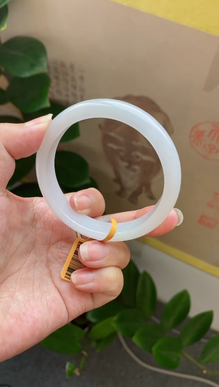 【闪购商品】翡翠手镯未镶嵌（胶润白月光）11号