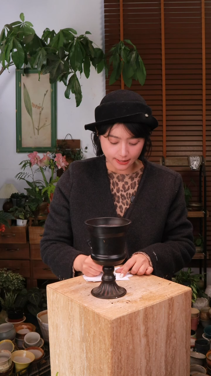 无花朵o****e一个盆中通