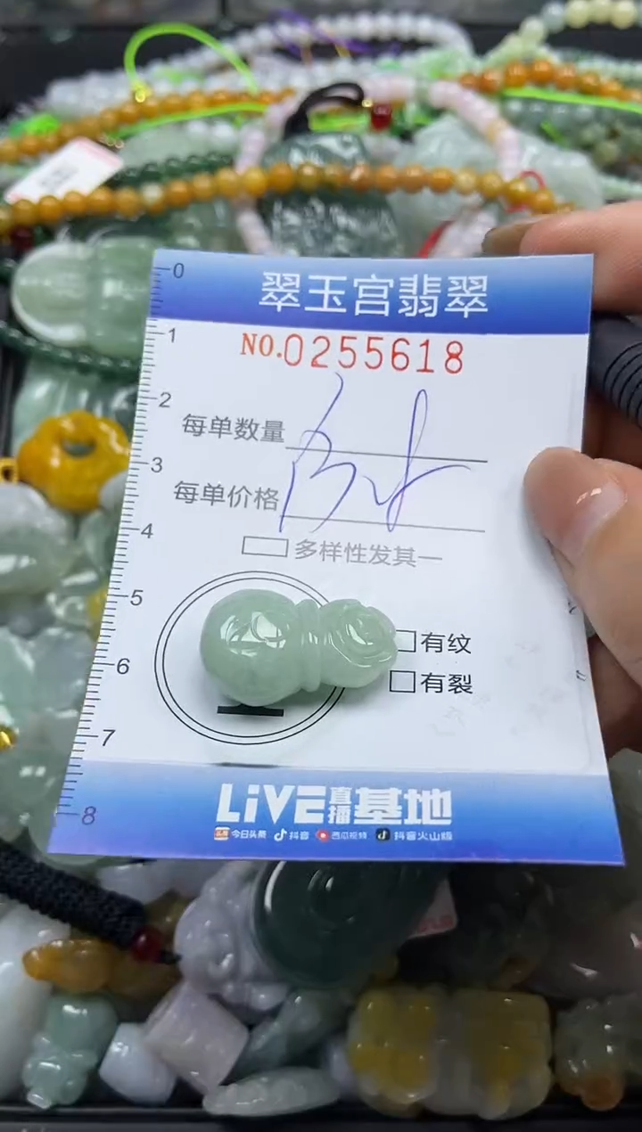 颈饰未镶嵌翡翠闪购C0255618