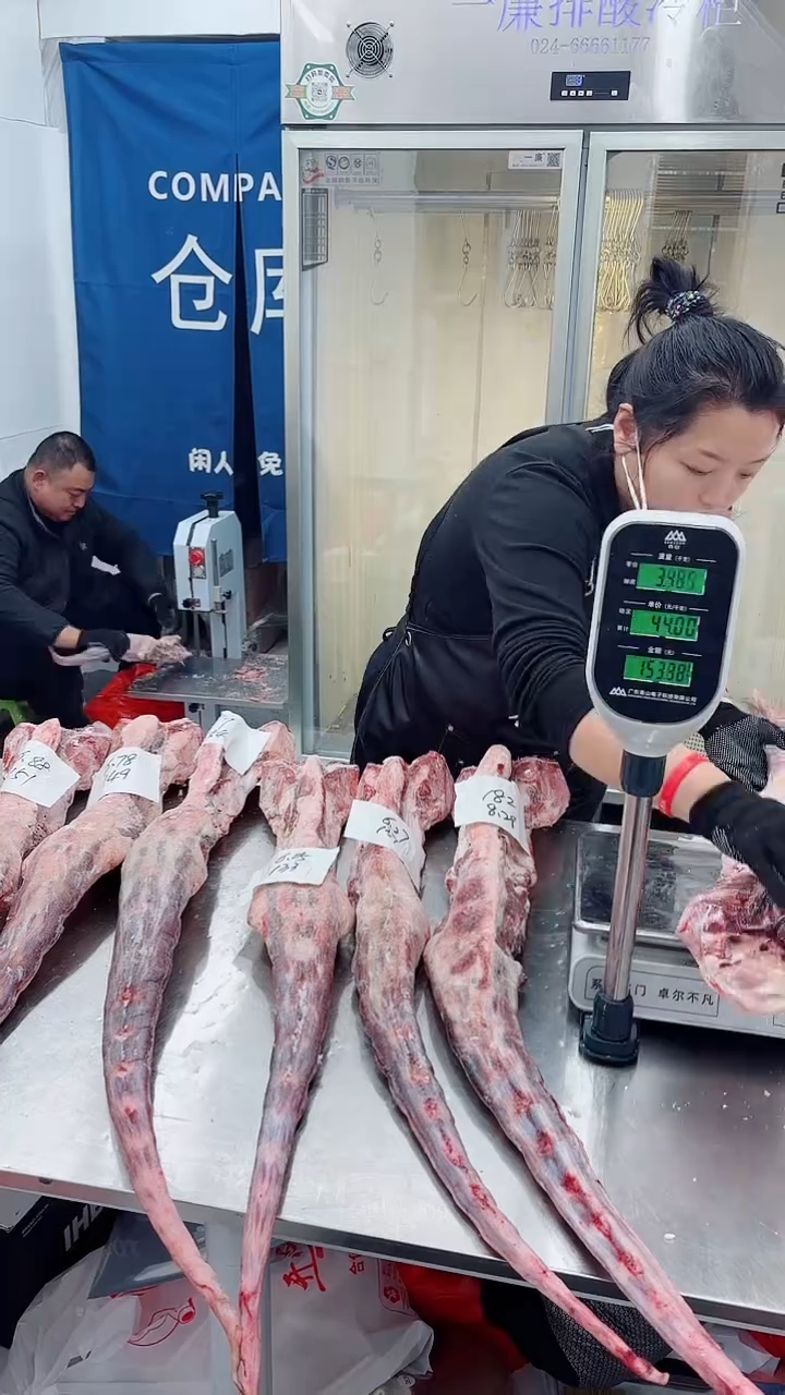 冷冻保存6个月中国大陆7