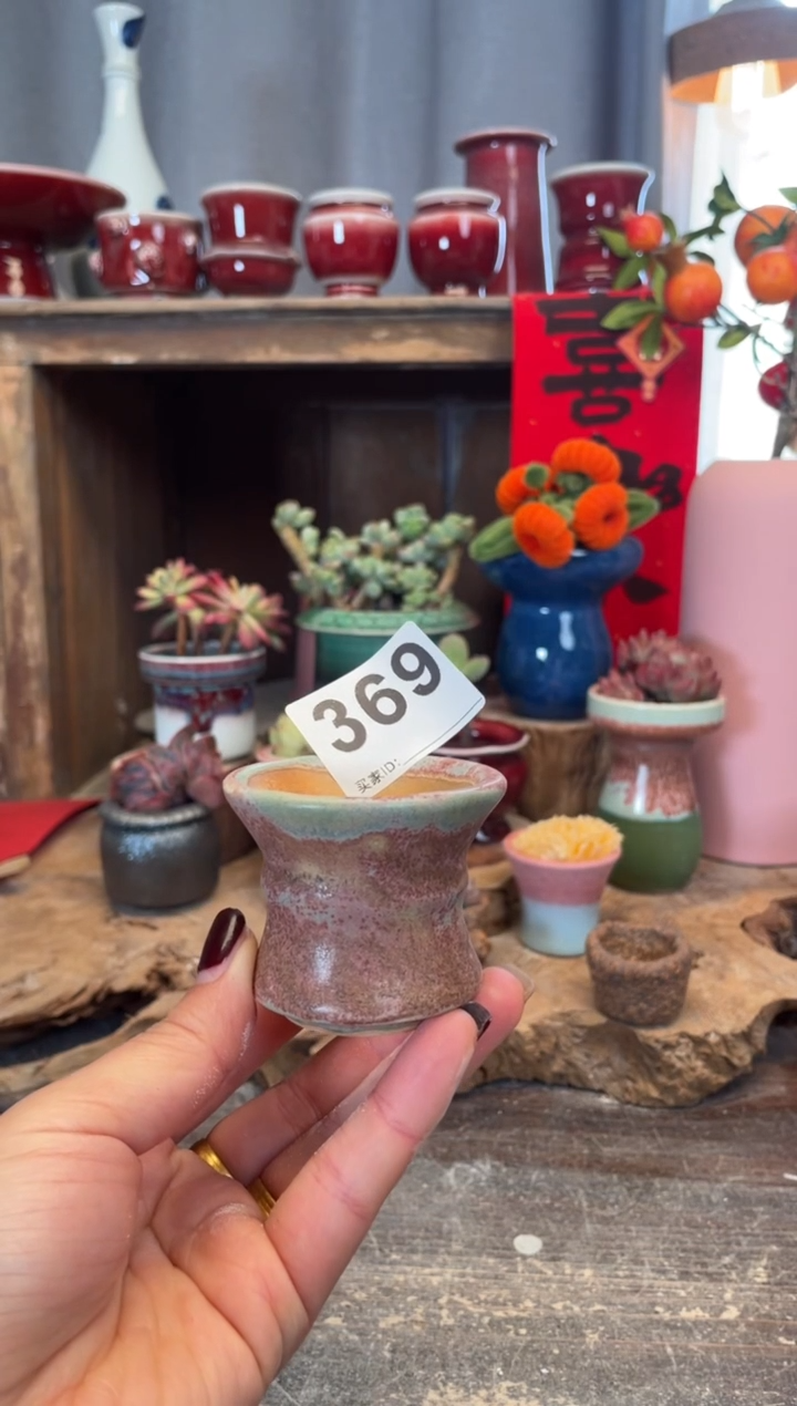 【闪购商品】摆件369知木小芳花盆