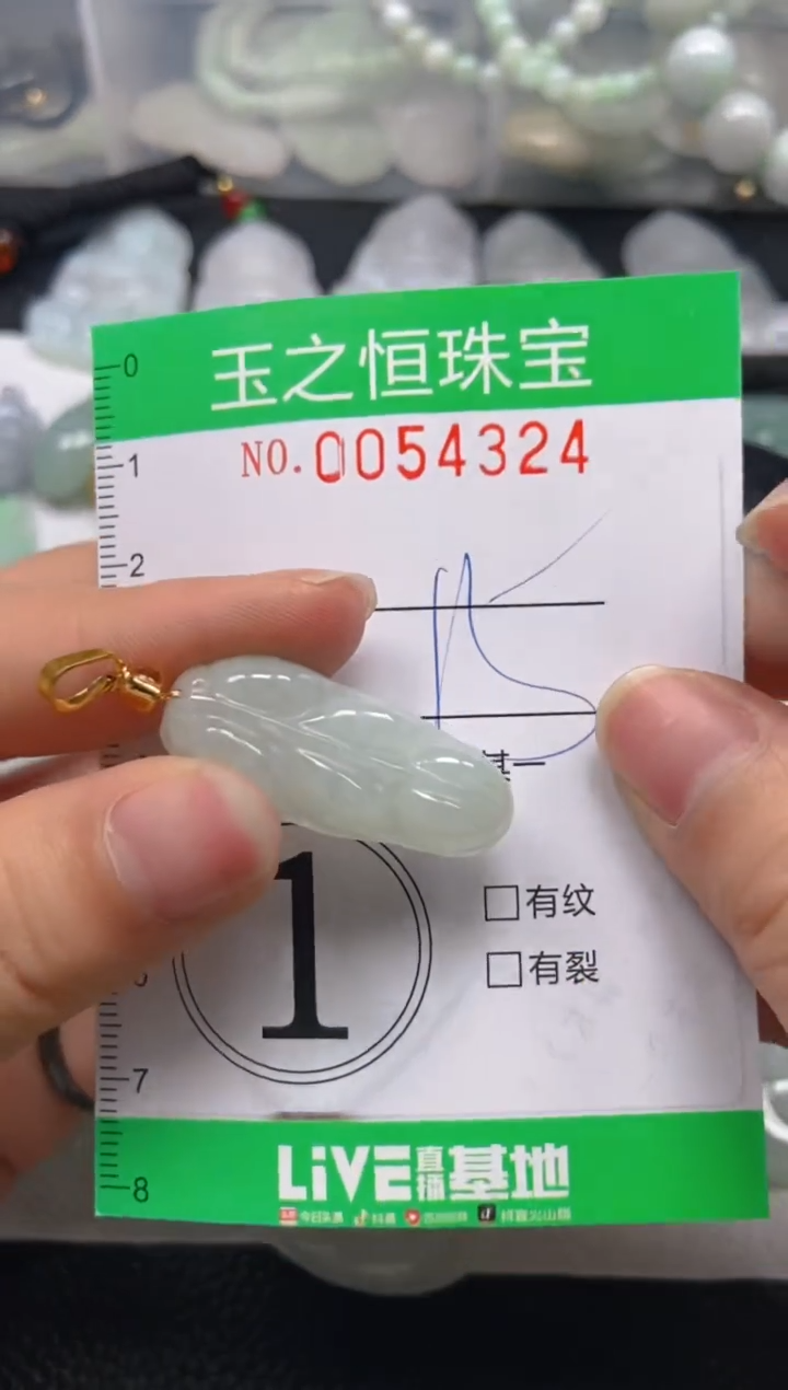 【闪购商品】翡翠未镶嵌颈饰闪购0054324