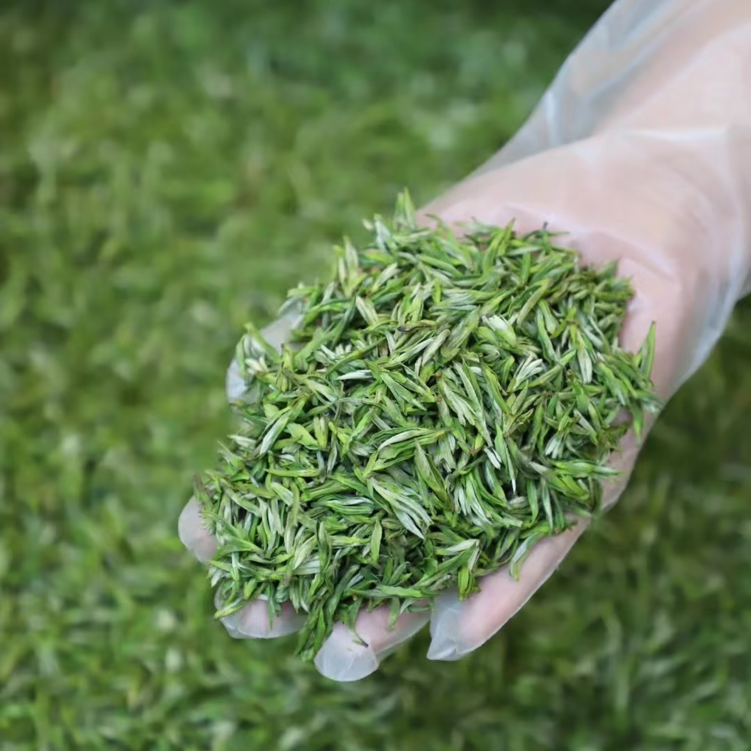 2025年新茶 高山小兰花 明前茶浓香耐泡