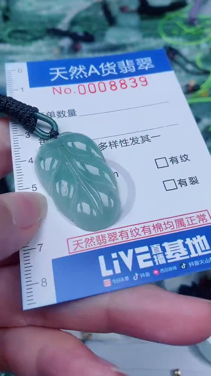 翡翠未镶嵌颈饰00008839