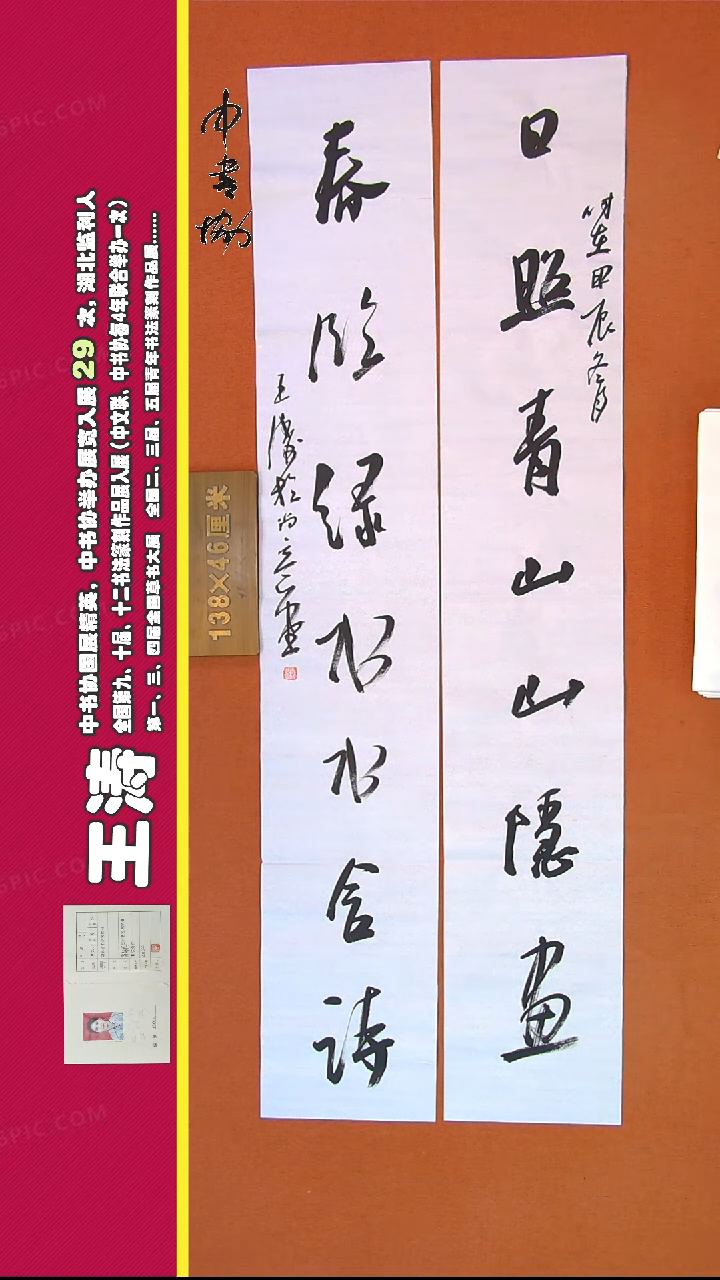 【闪购商品】书法162王涛书法作品