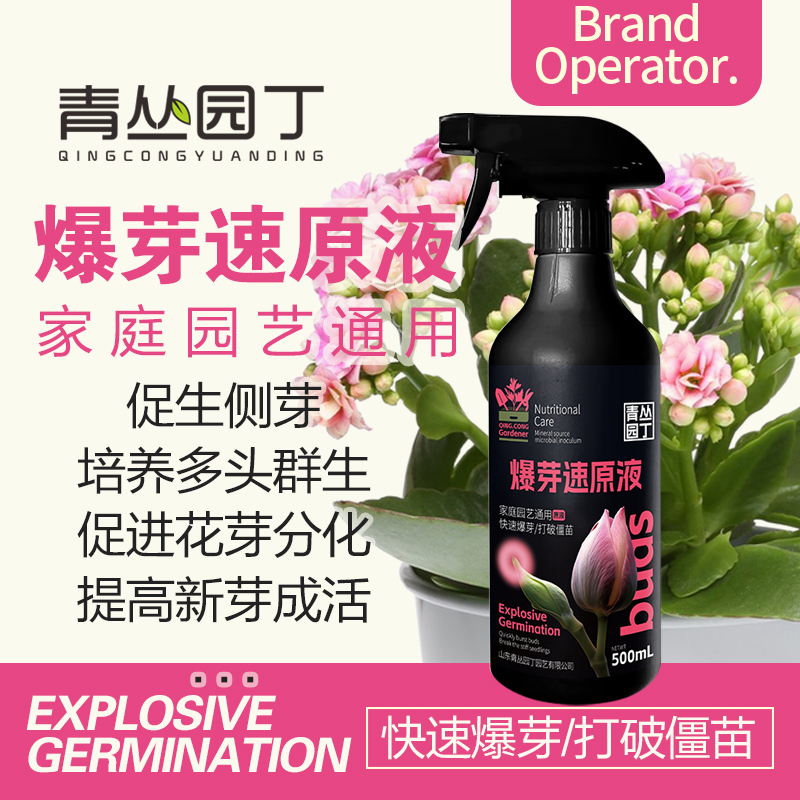青丛园丁爆芽速原液多芽促芽催芽分化叶插花植物家用绿植通用型