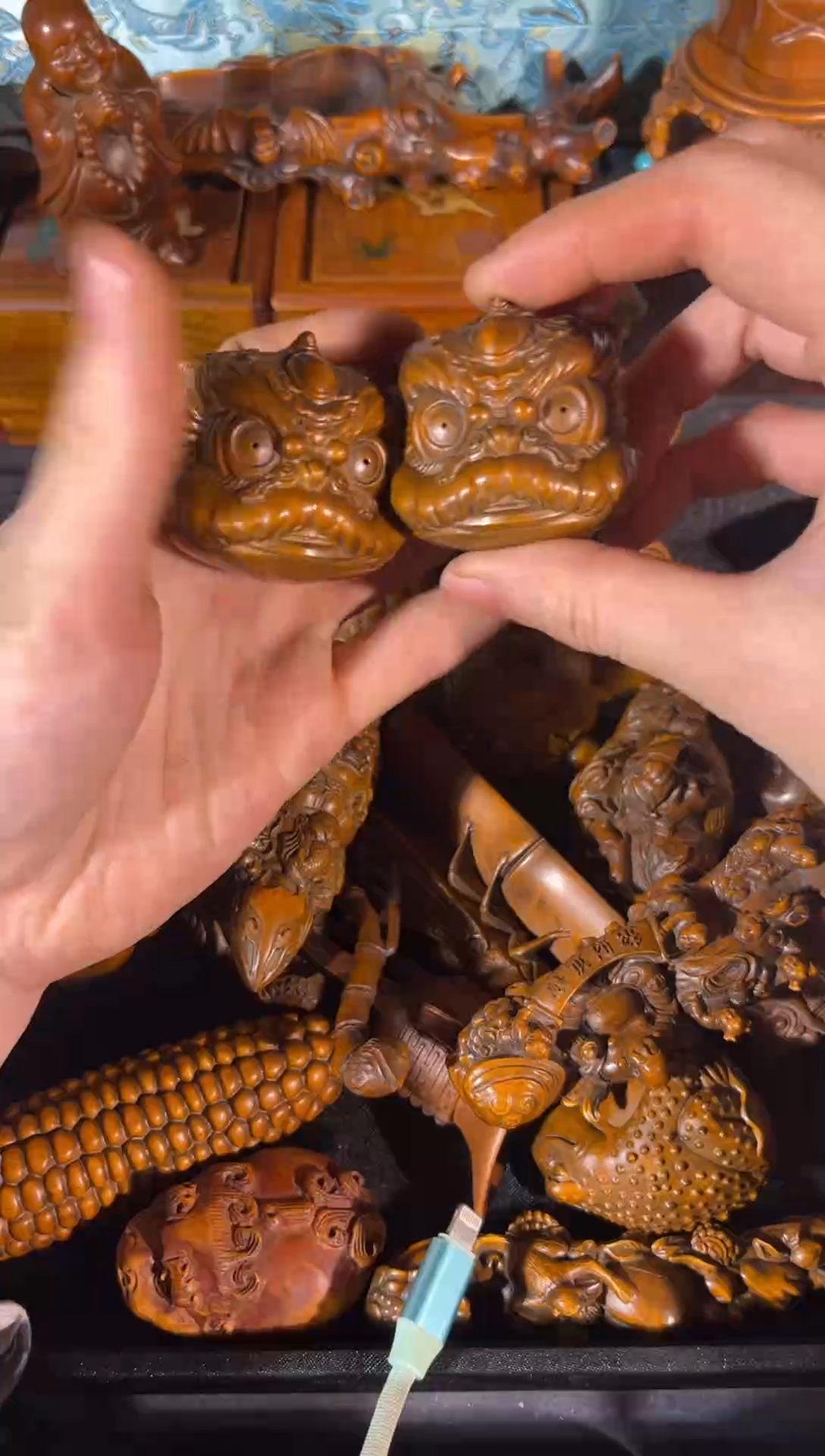 黄杨木11111111111111