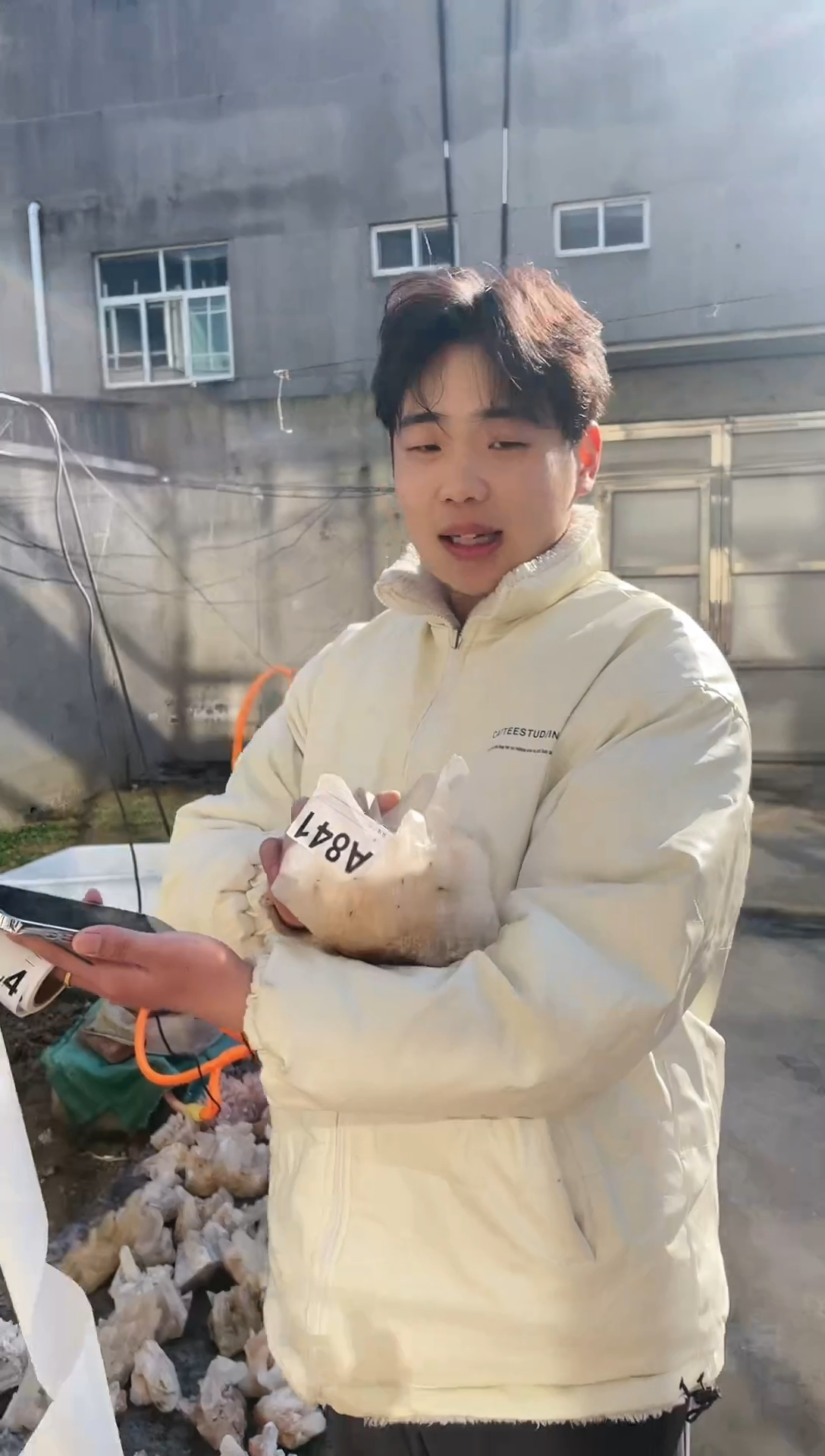 【闪购商品】水晶摆件未镶嵌水晶  841