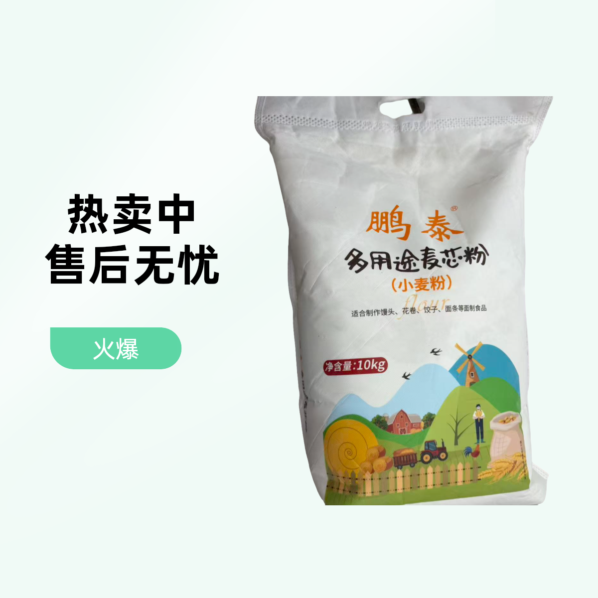 鹏泰面粉1袋/10kg