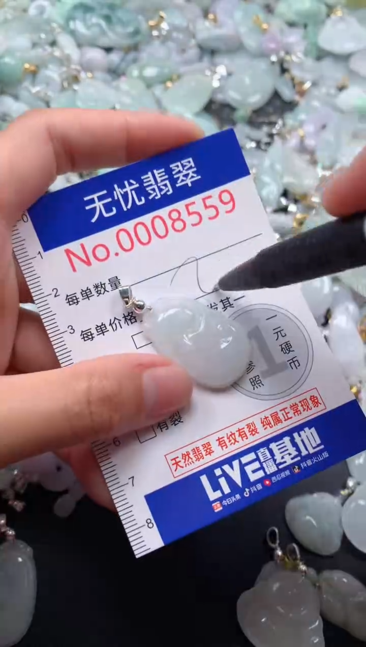 颈饰未镶嵌翡翠8559