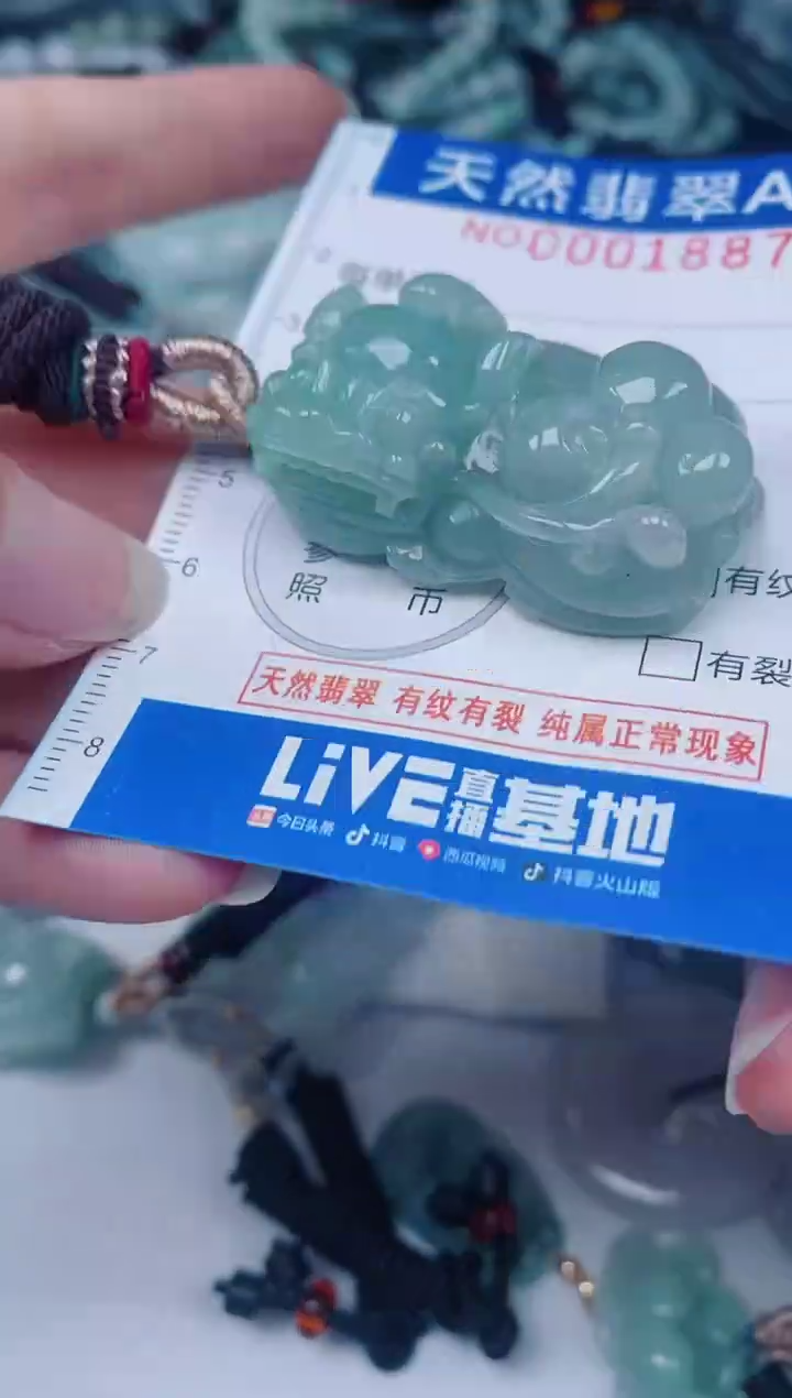 颈饰未镶嵌翡翠00001887