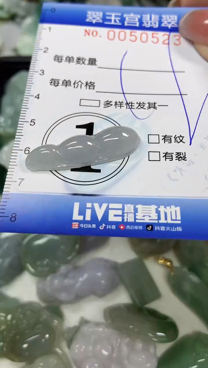 【闪购商品】翡翠颈饰未镶嵌闪购0050523