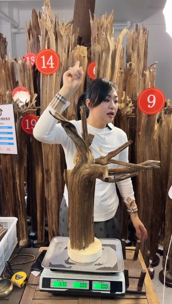 【闪购商品】沉香摆件沉香摆件多样性发一件74