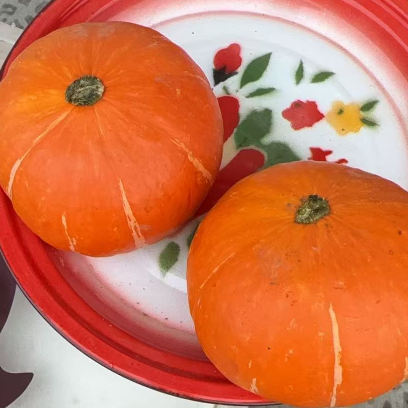 【中国供销】金瓜 软糯香甜板栗味可做宝宝辅食的新鲜蔬菜L