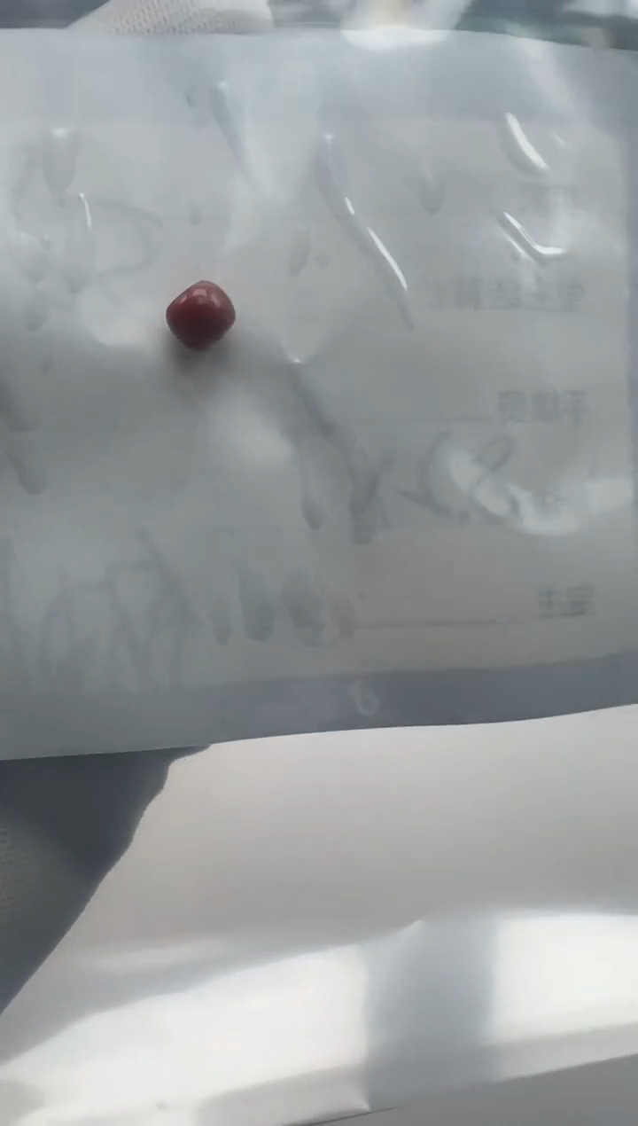 未镶嵌配饰南红玛瑙幸*～配饰多样性发货