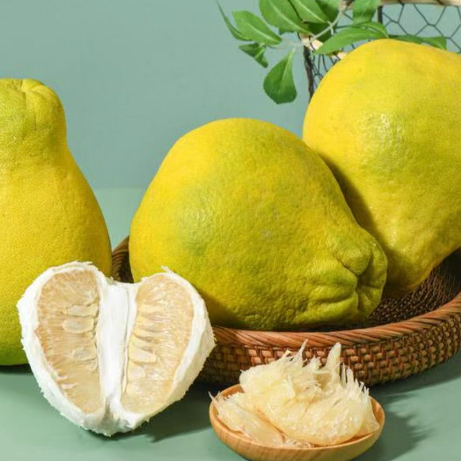 江永香柚（京东快递）麻袋装  纯甜无酸 果肉饱满  老树冰糖柚  