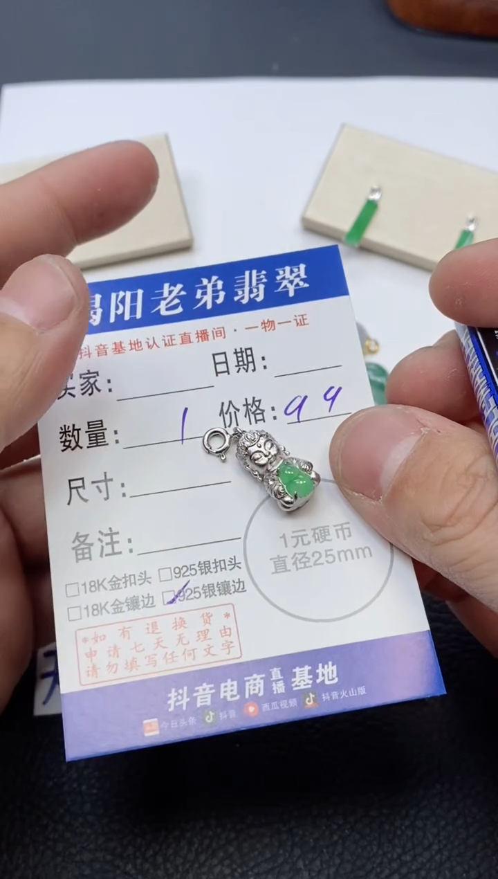 【闪购商品】翡翠颈饰银S925镶嵌多样性发其中一件