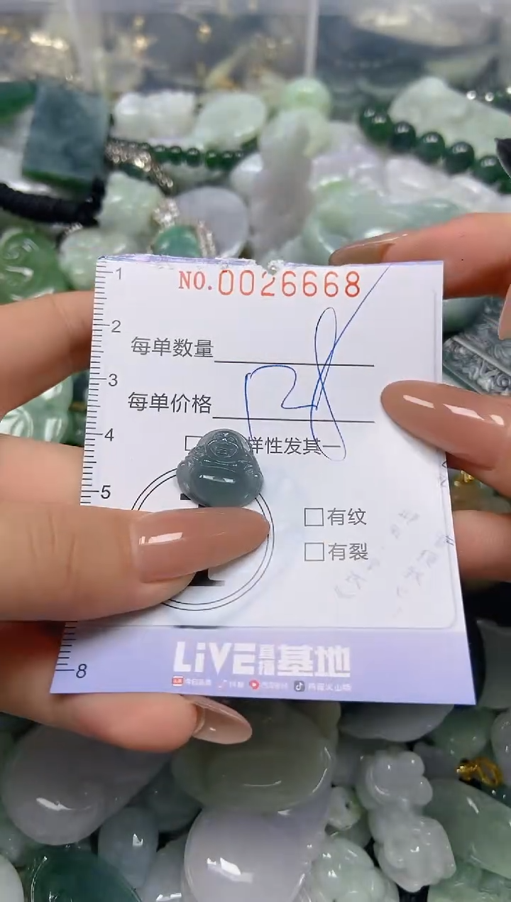 【闪购商品】翡翠颈饰未镶嵌闪购0026668