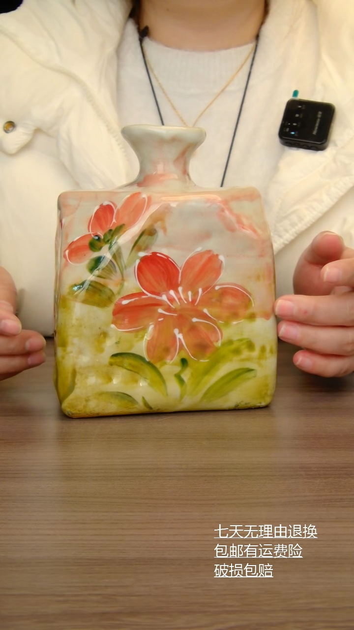 【闪购商品】瓶瓶子纯手工手绘景德镇