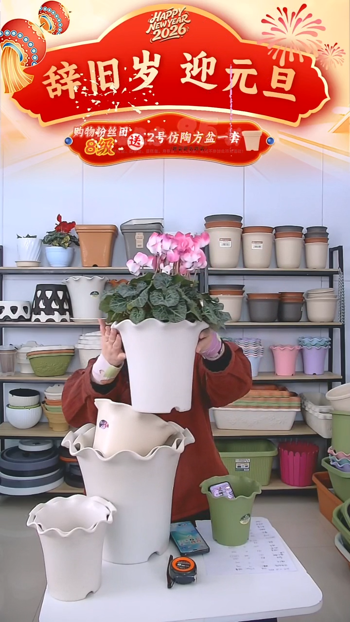 荷叶边5003米白色5套带托盘