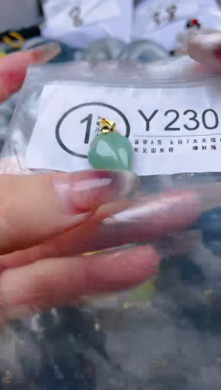 【闪购商品】翡翠颈饰未镶嵌/Y/翡翠A货一图一物