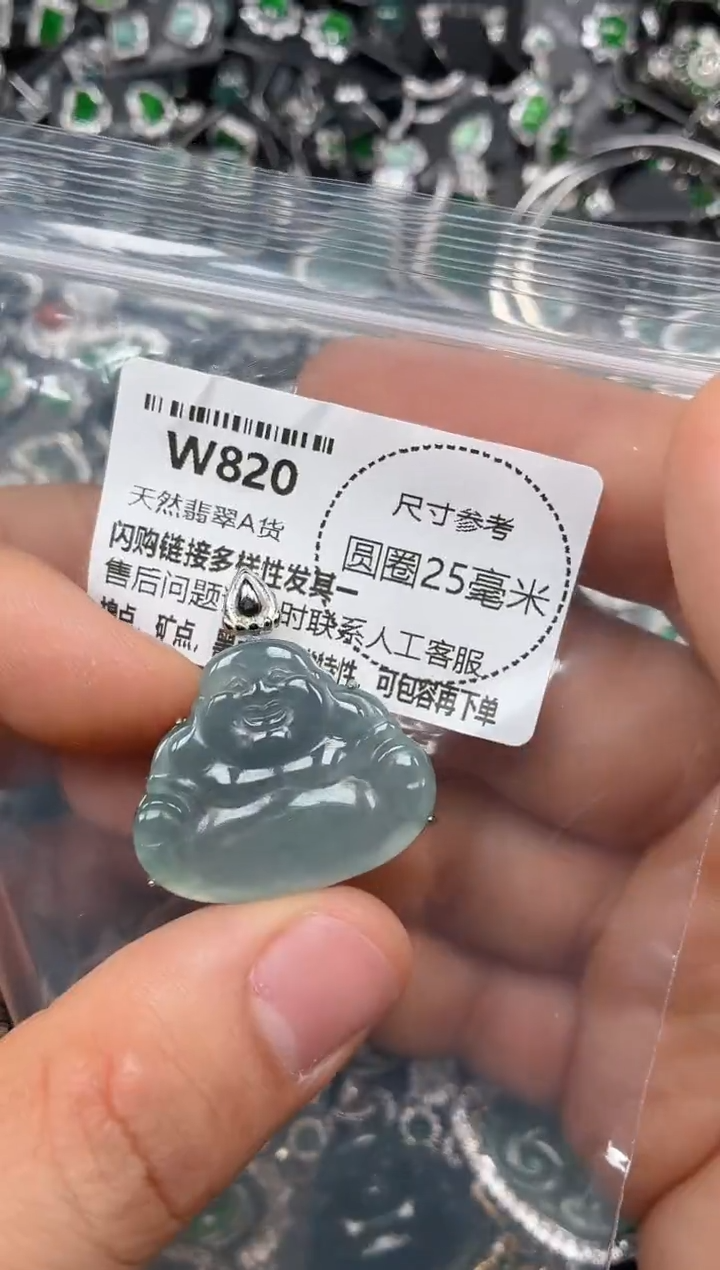 翡翠未镶嵌颈饰W820吊坠