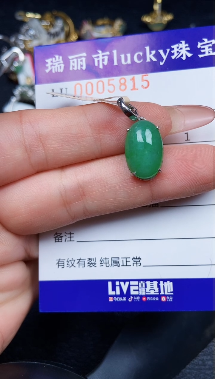 翡翠银S925镶嵌颈饰5815