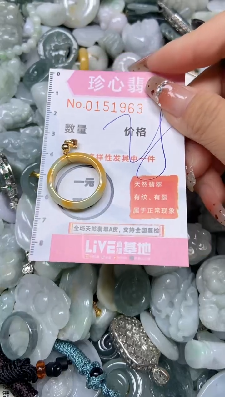 【闪购商品】翡翠颈饰未镶嵌闪购链接0151963