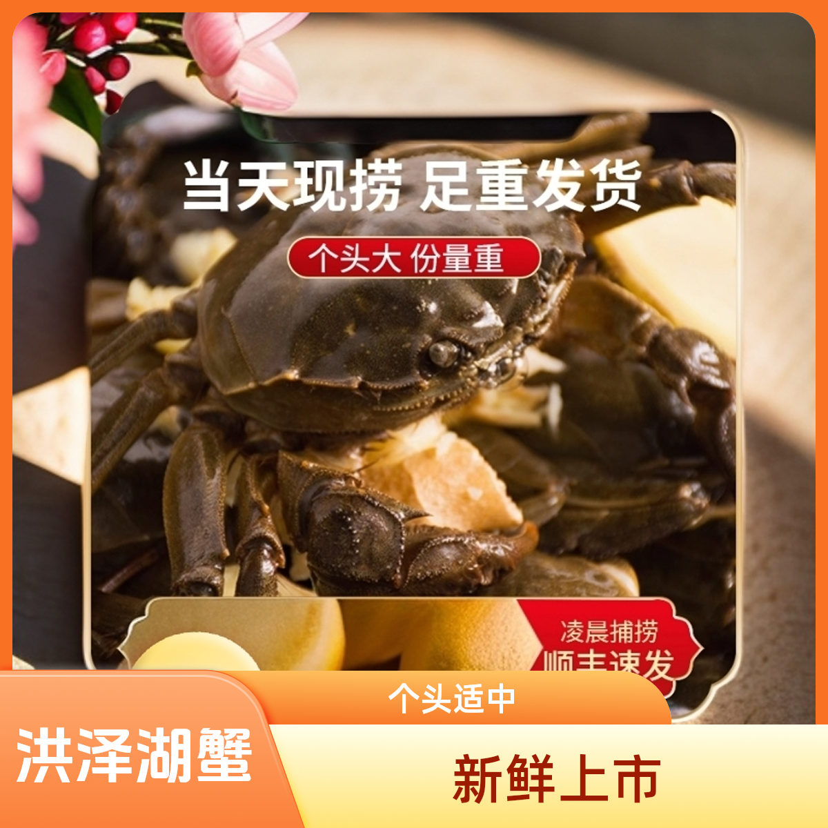 【活蟹】洪泽湖老头蟹公蟹/母蟹0.8-1.1两/只 2斤装（25-30只）