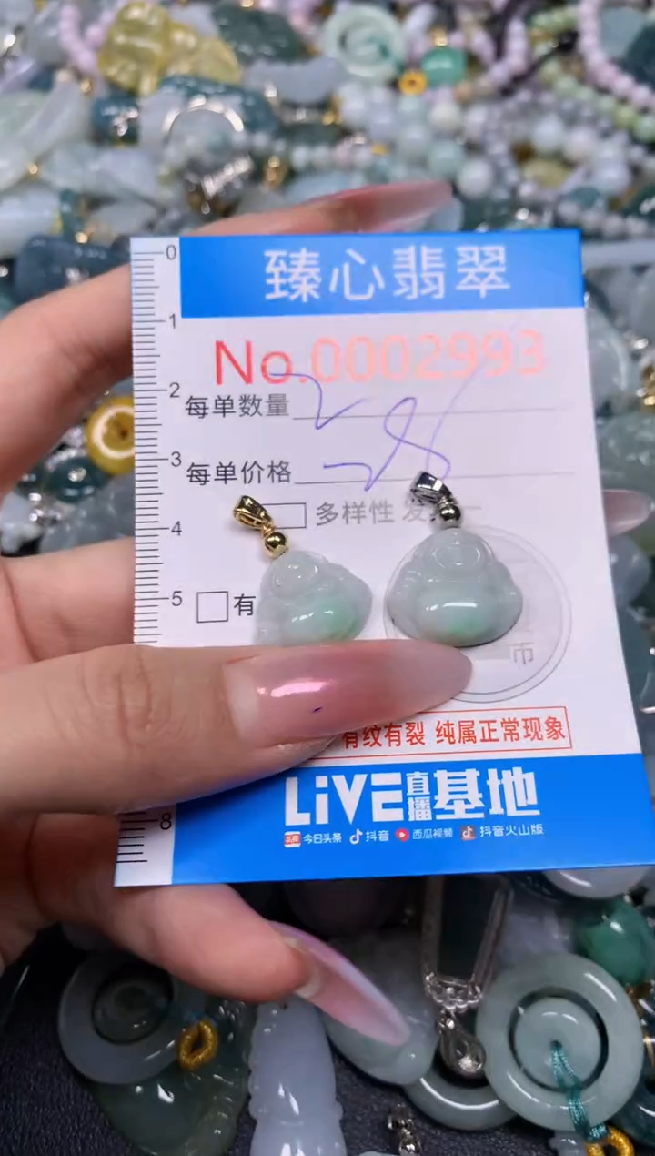 【闪购商品】翡翠颈饰未镶嵌含绳0002993