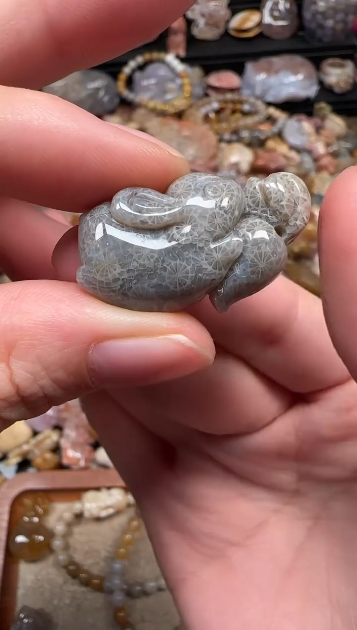 颈饰未镶嵌硅化珊瑚（珊瑚玉）193