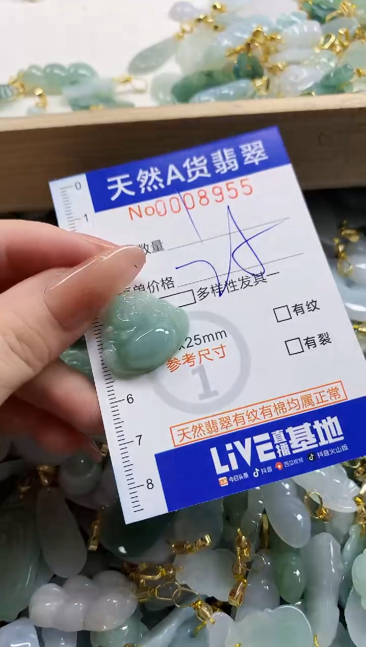 颈饰未镶嵌翡翠天然A货翡翠