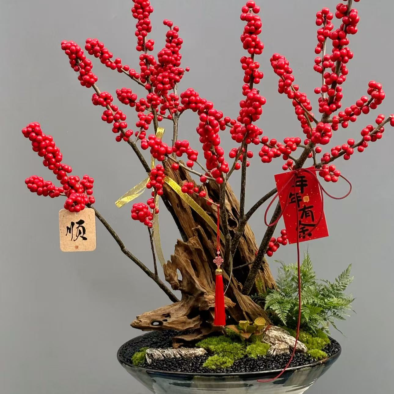 北美红果冬青室内奥斯特年宵花卉起床带果发货盆栽地载花卉盆景