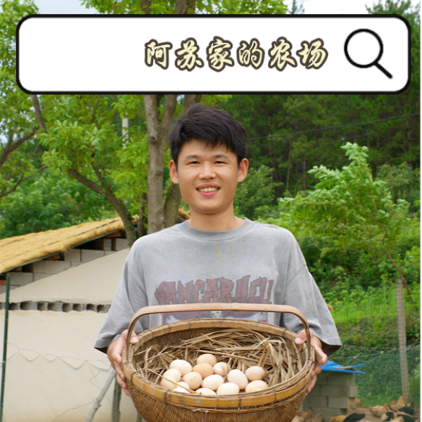 【阿苏家农场】100枚农家散养土鸡蛋
