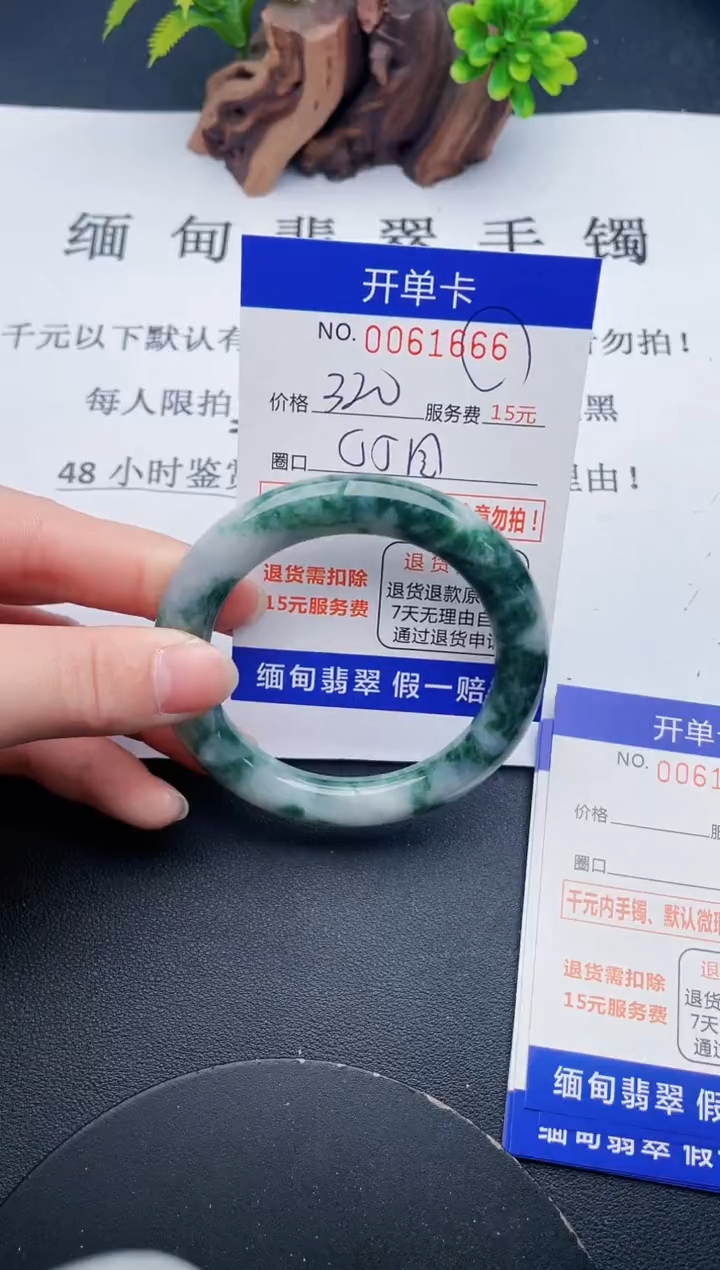 【闪购商品】66丽致优雅手镯时尚百搭