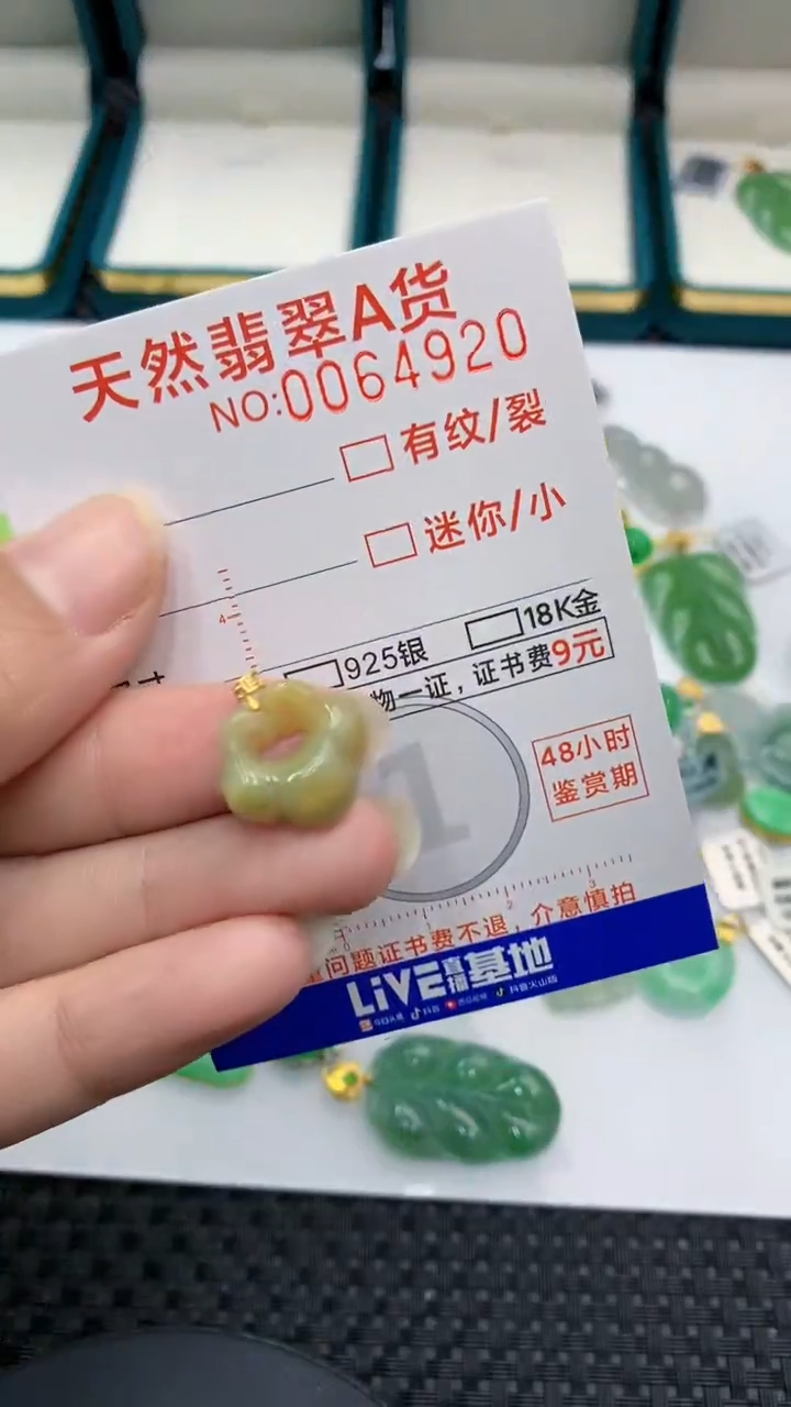 【闪购商品】翡翠颈饰18K金镶嵌            8