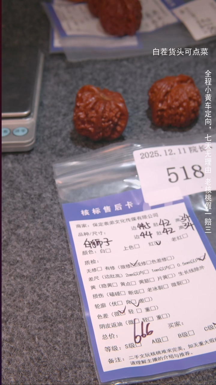 把件文玩核桃w****p白狮子518諘帝文化