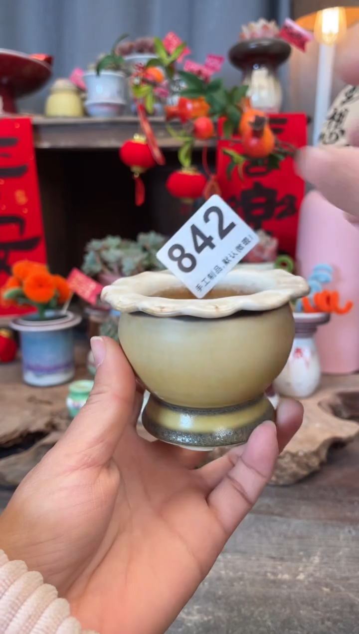 【闪购商品】摆件842知木小芳花盆