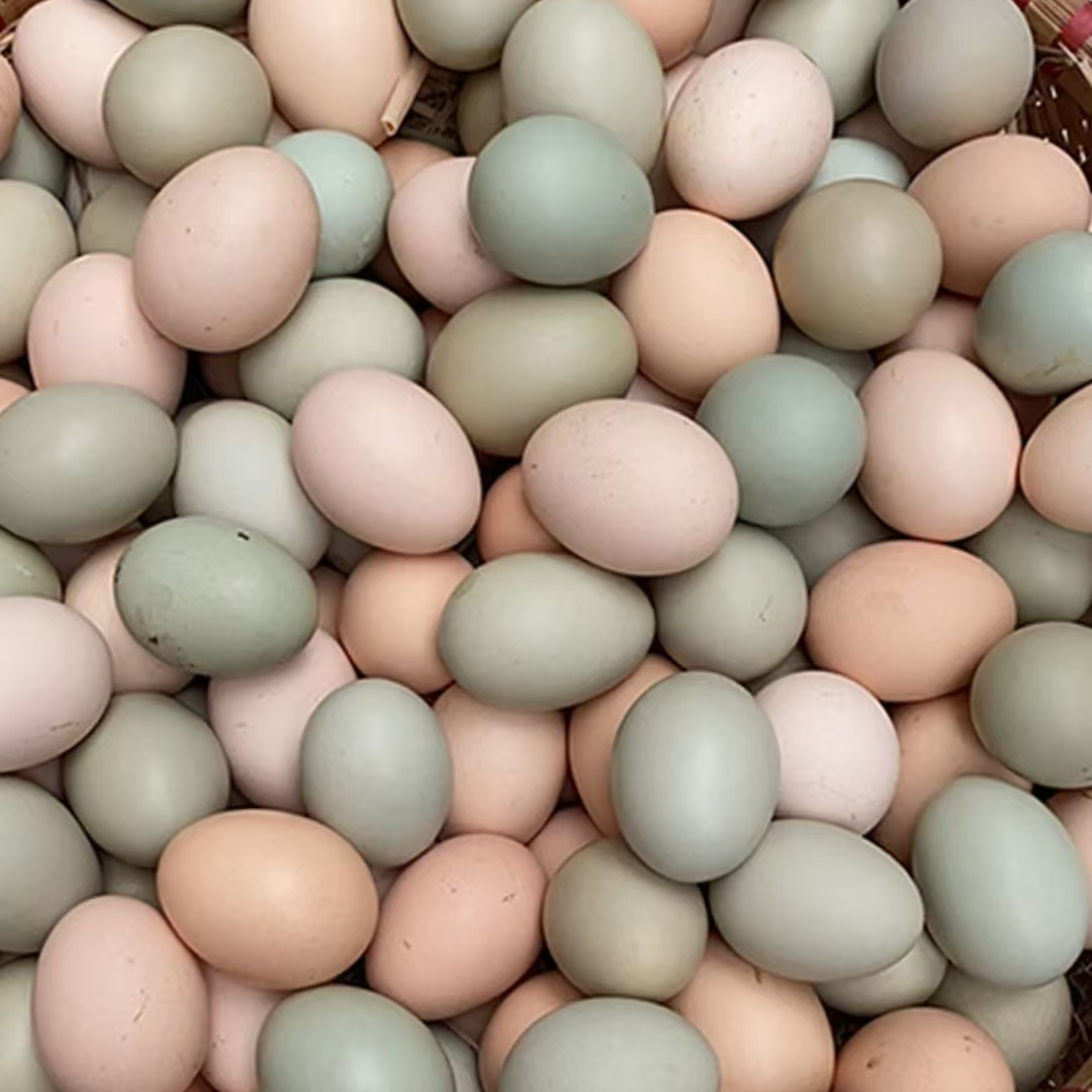 湘西本地散养土鸡蛋