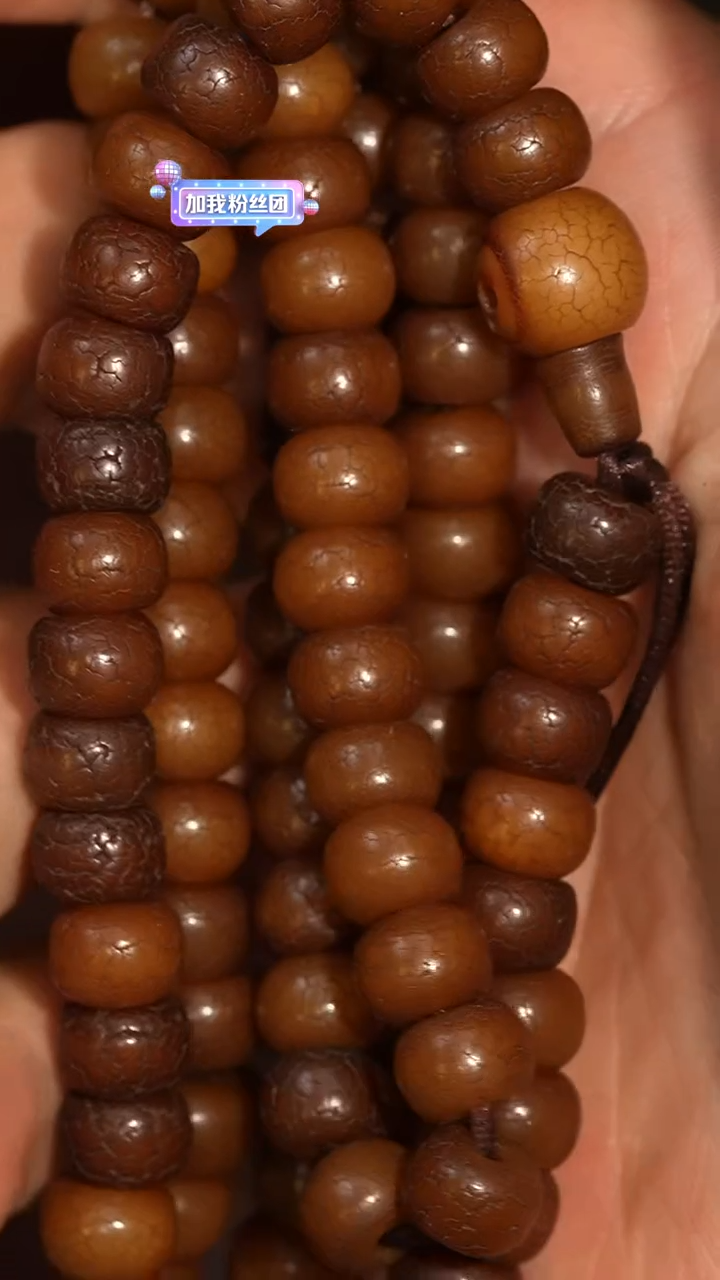 冲赛康胡子哥，藏传念珠229