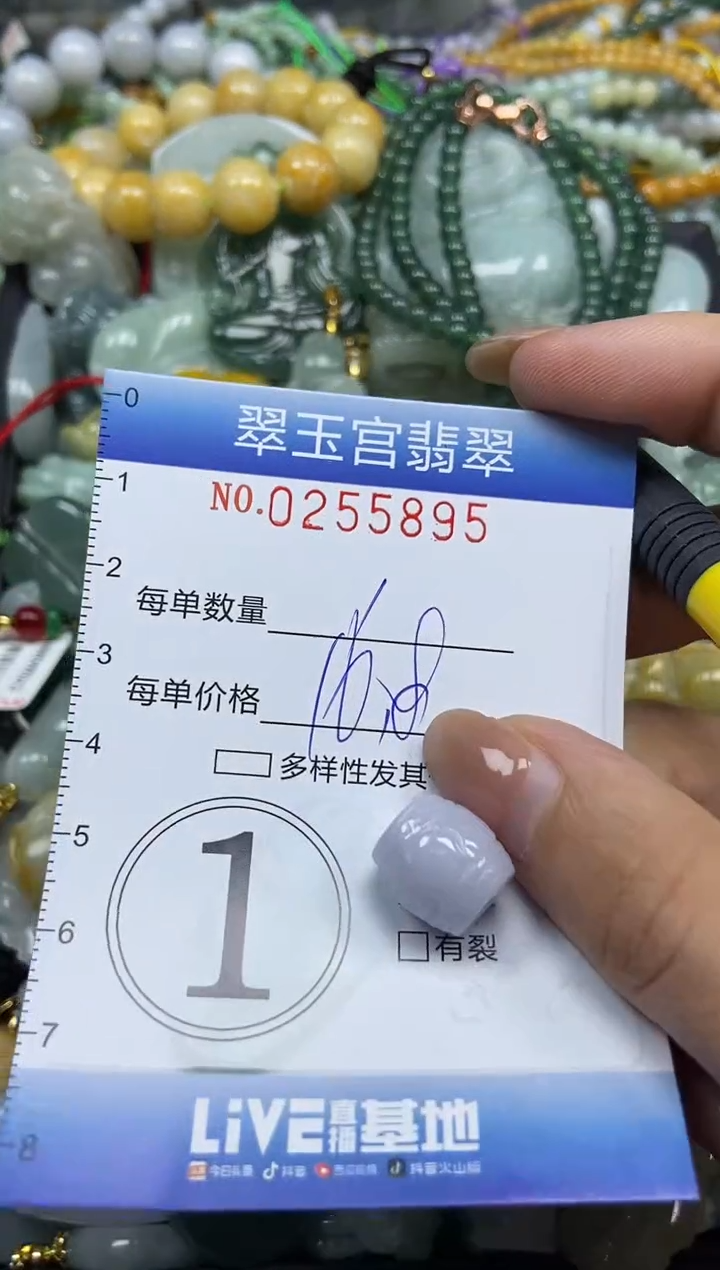 颈饰未镶嵌翡翠闪购C0255895