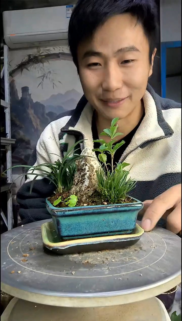 东***°中青园艺一物一拍66