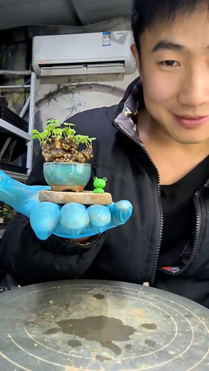 哈****好中青园艺一物一拍花449