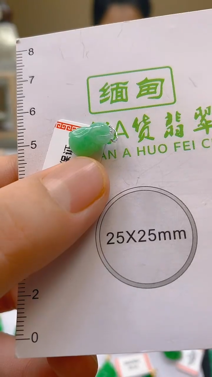 【闪购商品】翡翠颈饰未镶嵌新号开播，全场乱卖