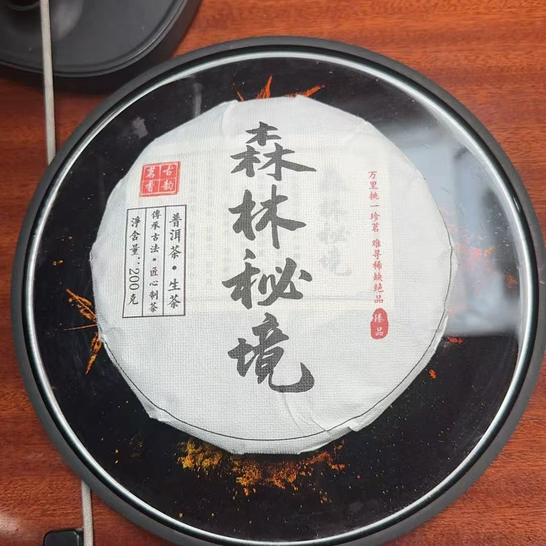 【JX--123号】 2024年 森林秘境 古树 生茶【200克饼】