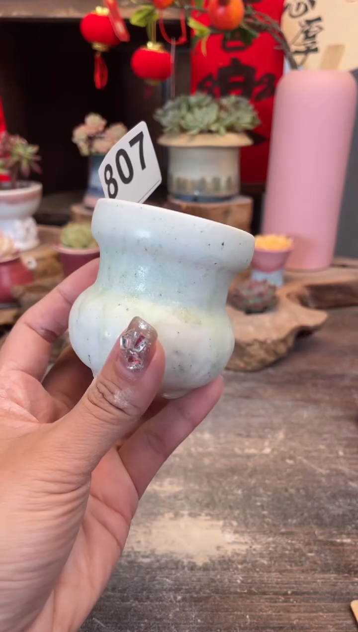 【闪购商品】摆件807知木小芳花盆