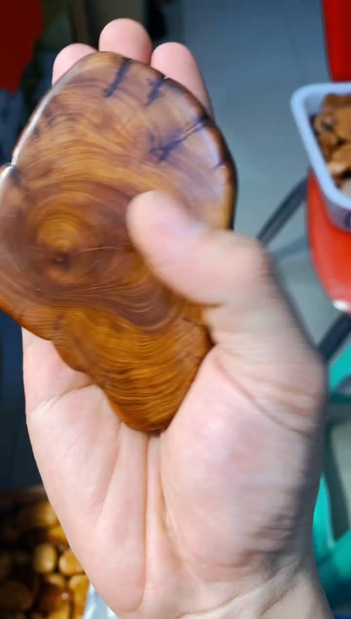 【闪购商品】柏木6崖柏崖柏崖柏崖柏