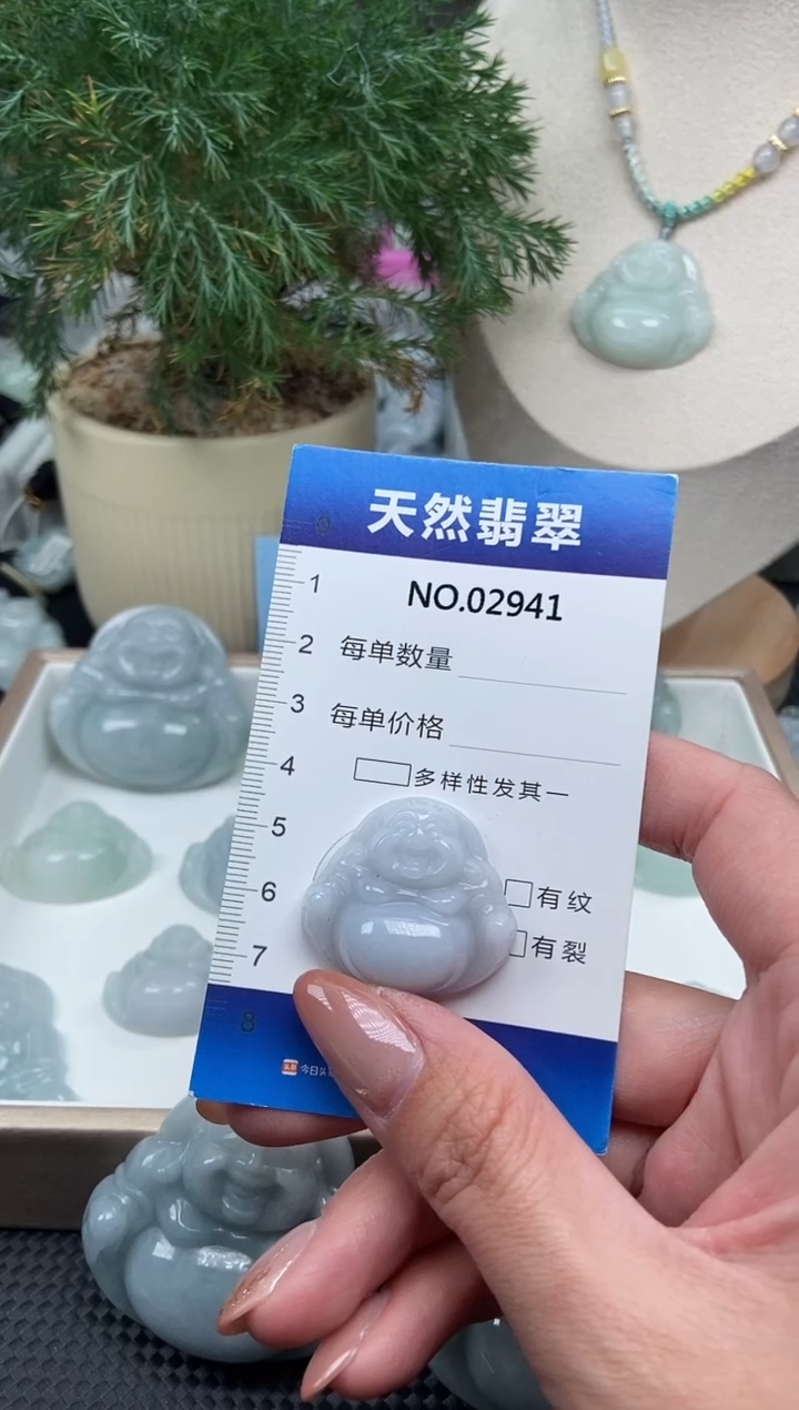 颈饰未镶嵌翡翠纯天然A货翡翠2941